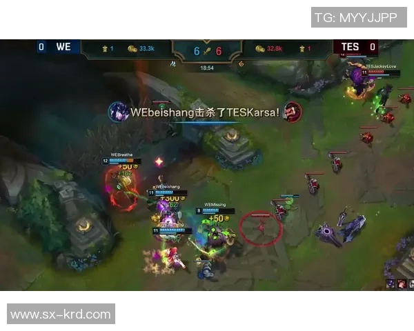 深入分析TES战队包夹战术的成功秘诀与应用场景